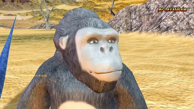 DRAGON Vs WOLF GORILLA GODZILLA Comedy Video || Cartoon Gorilla Animation Compilation