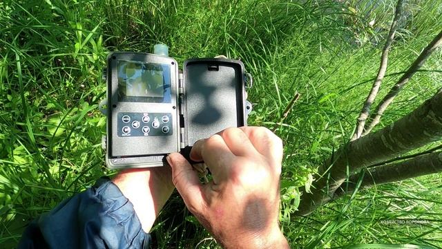 Фотоловушки снимаю с дерева смотреть онлайн