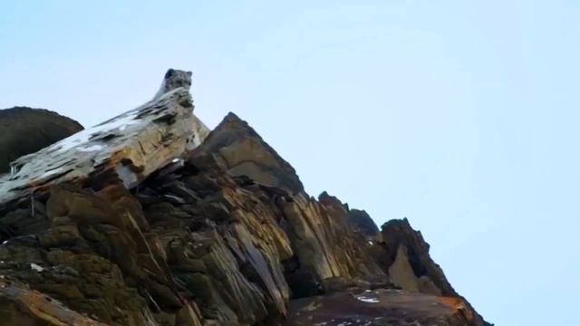 Жалған дүние. Шыңғысхан жарты әлемді алған.. смотреть онлайн