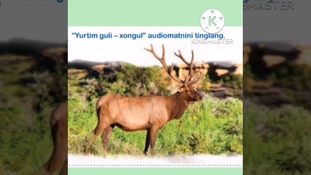 Yurtim guli-xongul смотреть онлайн