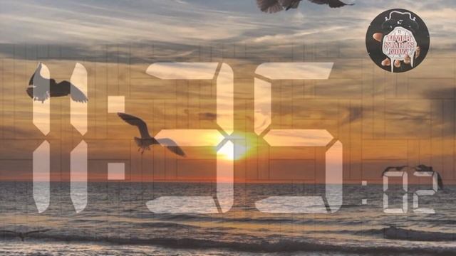 11:09 to 12:00 | SUNSET BACKGROUND | TIMER STARTS NOW смотреть онлайн