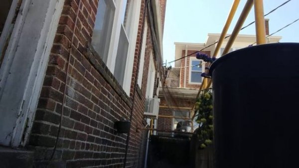 Frozen Flowers AKA What Happens When The Thermostat Freezes the Cooler