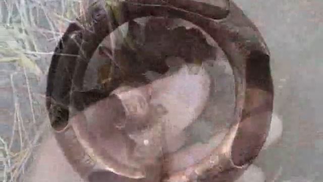 Поиск под мостом - kladoiskatel.net смотреть онлайн