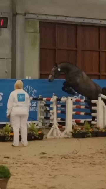 Horse edit😫🖤🤍 #лошади #кони #рекомендации#актив #horse #equestrian #конники#horselover #horseriding смотреть онлайн