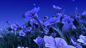 Пчелка майя 1 час