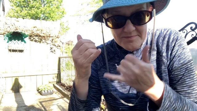 Hardening Off Tomatoes | Growing Tomatoes Series Episode 2 смотреть онлайн