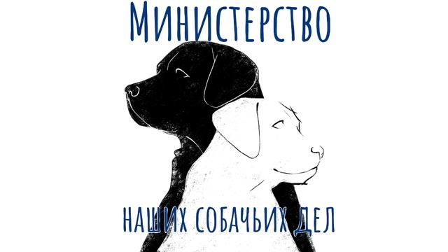 Первый pet-friendly банк в России. Альфа-Банк смотреть онлайн