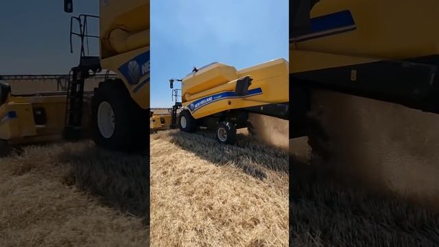 Комбайн нью холланд new holland TC 4.90 в хозяйстве Boston Agro им. В.И. Томенко уборка озимой смотреть онлайн