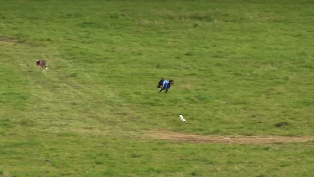 FIN28 Nox Infinita Athene Noctua & Uziduzit Hawksview Non Serviam Tomahawk смотреть онлайн