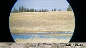 Heckler & Koch SL8: The Precision G36