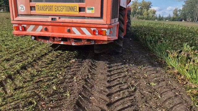 HOLMER T2. SPRZEDAM!!! смотреть онлайн