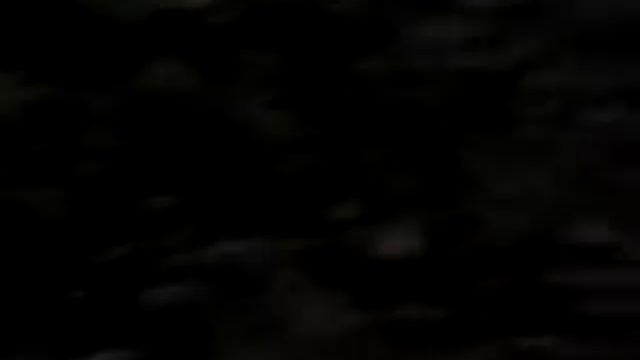 школьники ищут курицу смотреть онлайн