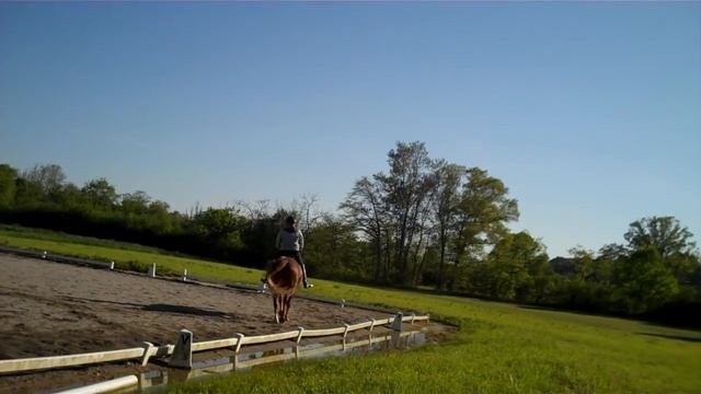 Improve your trot position in 5 minutes a day! Part 1 Trot смотреть онлайн