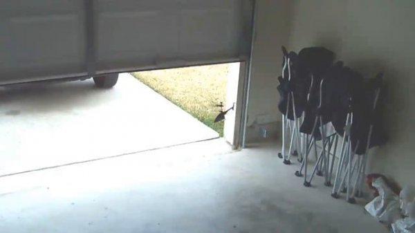 3 ch Syma Vision S010 RC Remote Control Helicopter (HD Video)