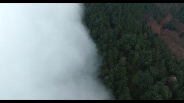 SCHWARZWALD GERMANY - CINEMATIC AUTUMN VIDEO | DJI MAVIC 3 & DJI MINI 3 PRO смотреть онлайн