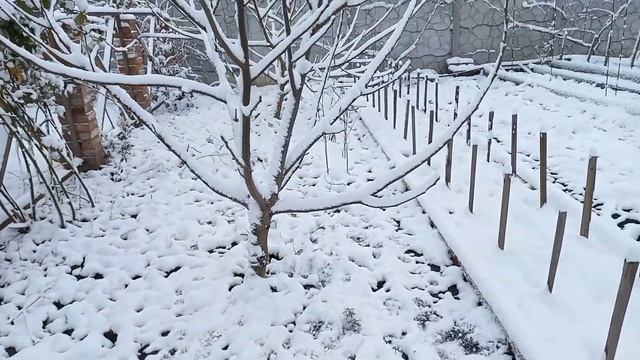 Зимова Казка в Моєму Саду❄Літні Спогади#першийсніг#літніспогади#зимавмоємусаду#україномовнийютуб#са смотреть онлайн