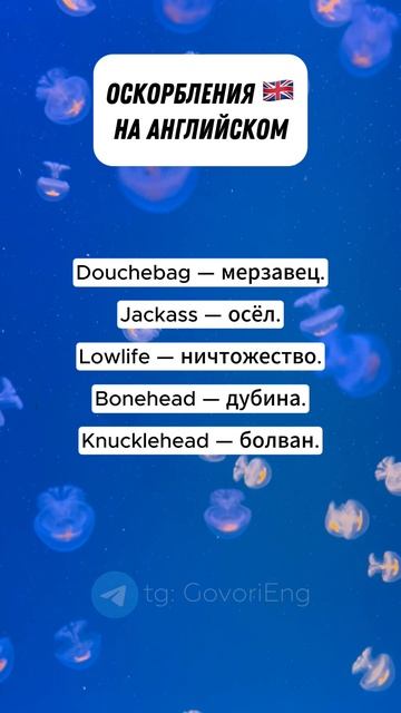 АНГЛИЙСКИЙ ДЛЯ НАЧИНАЮЩИХ | Учи английский по 5 минут в день! смотреть онлайн