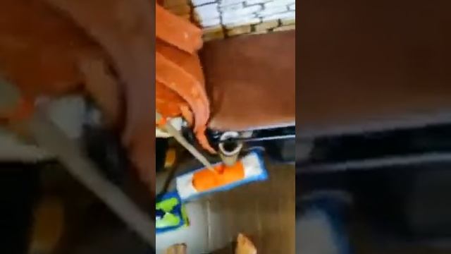 Универсальная швабра от Гринвей смотреть онлайн