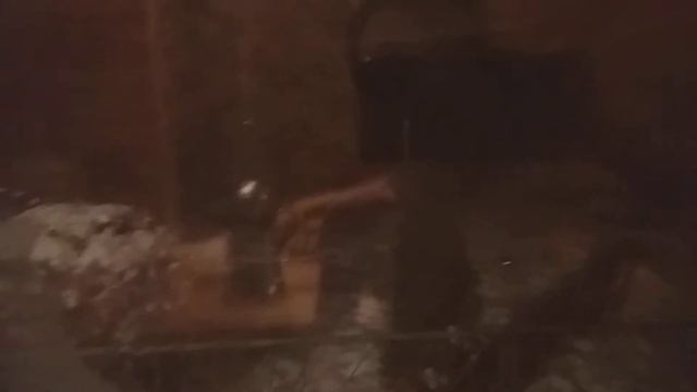 Баня с пацанами. 17.01.21(4) смотреть онлайн