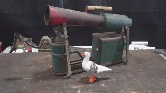 Реставрация отпугивателя птиц смотреть онлайн