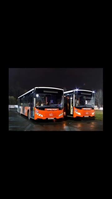 Оцениваю пермский автобус #автобус #shorts #автобус смотреть онлайн