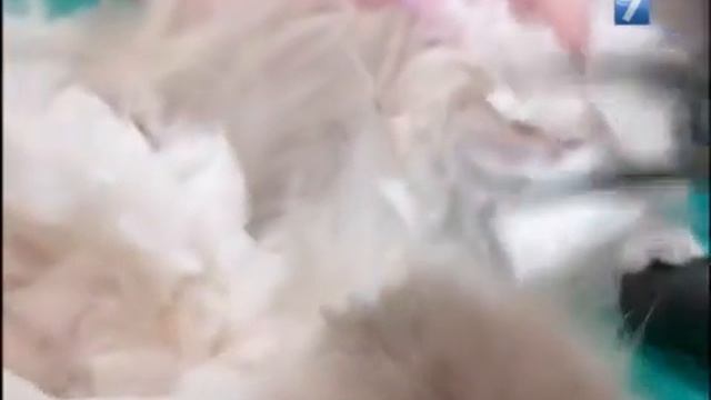 Новости Вологды 2016 03 01 смотреть онлайн