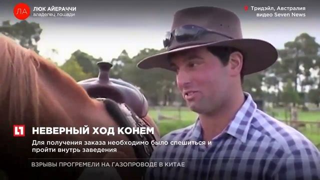 В австралийском “Макавто” отказались обслуживать клиента на лошади