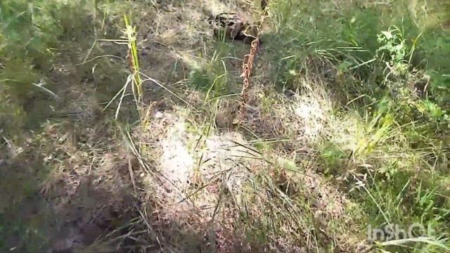 накопал металла. заработал. буду ремонтировать крокодила. смотреть онлайн