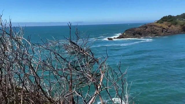Экскурсия на встречу с китами в Newport, Oregon. Whale excursion. смотреть онлайн