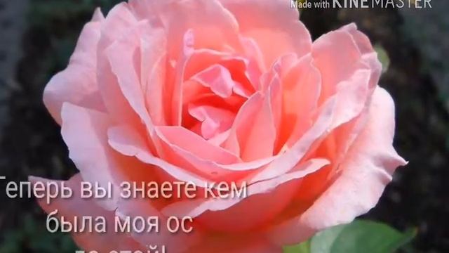 Как выглядела моя ОС до этой? смотреть онлайн