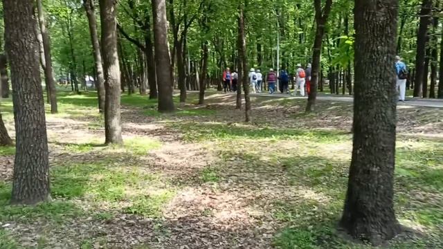 В парке Ленина- к занятиям готовы! смотреть онлайн