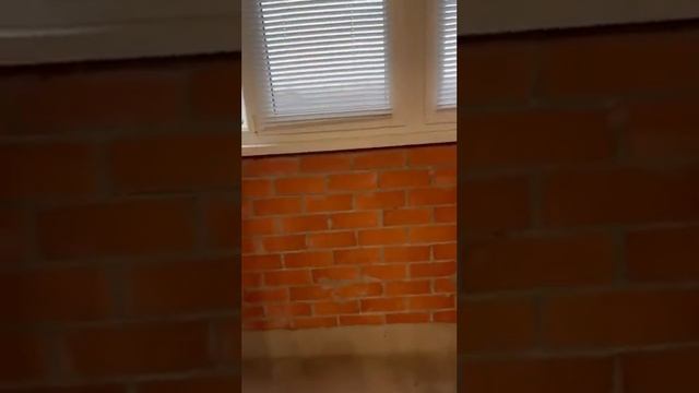 Аренда 1к.кв. ЮМР, Новый Город, Краснодар смотреть онлайн