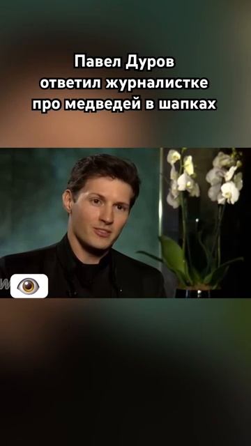 А правда в России медведи ходят в норковых шапках смотреть онлайн