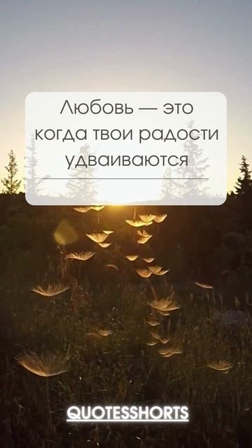Любовь — это когда твои радости удваиваются смотреть онлайн