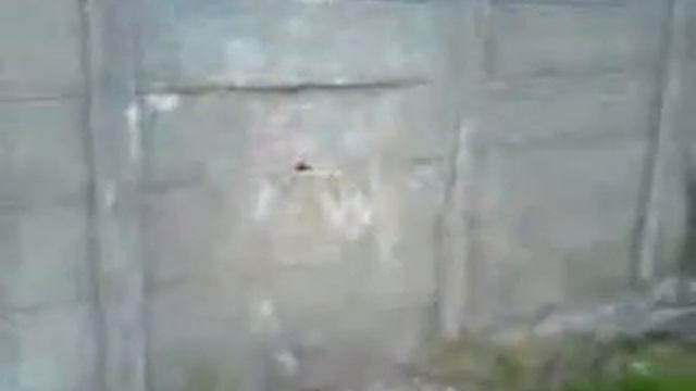Придурок ломает забор. смотреть онлайн