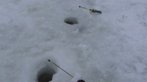 Рыбалка в глухозимье. Выпуск 66.