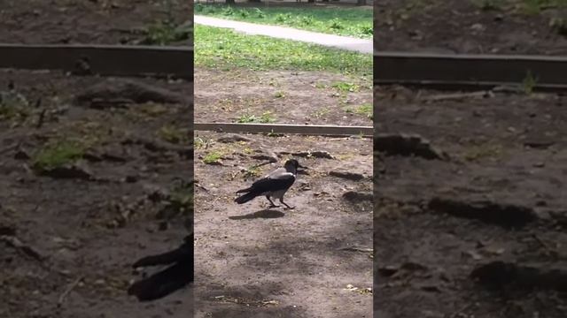 Харьков .Ужас жизни! Ад усиливается !#жизньвукраине #харьковчане #харьков 30.04.2024