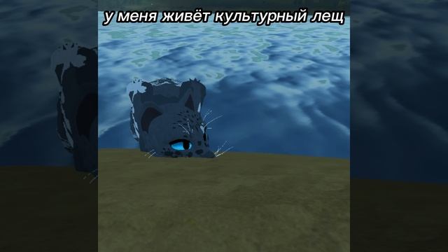 У меня живёт культурный кот, у меня живёт культурный пёс, у меня живёт культурный лещ #warriorcats