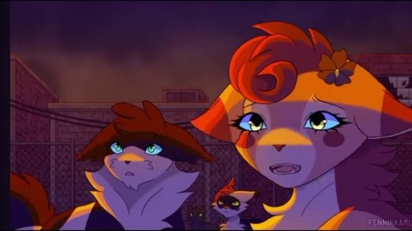 Next Up Forever - Complete Warriors Cats AU MAP