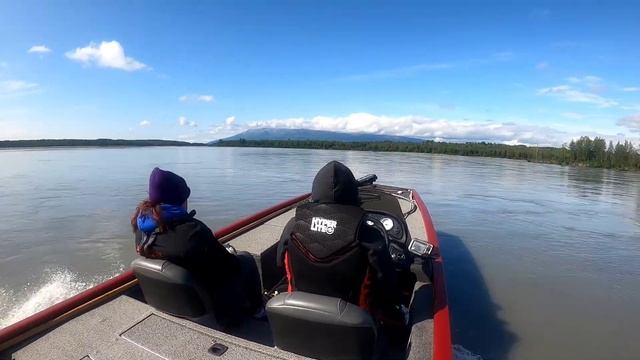 Dipnetting Alaskan Sockeye смотреть онлайн