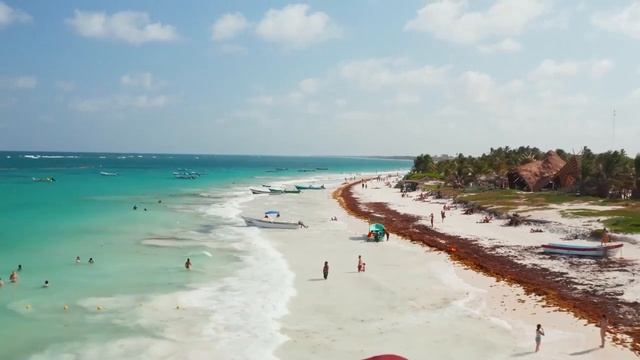 TLE Anniversary Trip Реклама IM Academy IM Mastery Academy смотреть онлайн