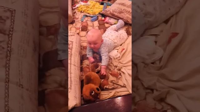 Мой любимый брат смотреть онлайн