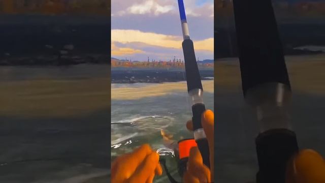 Fishing Planet Unique Chinook Salmon смотреть онлайн