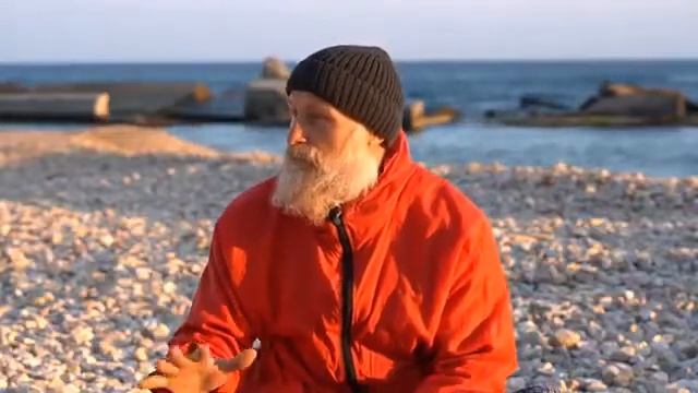 Пилобакт смотреть онлайн