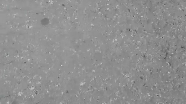 Мой велек 30 тысяч. руб.