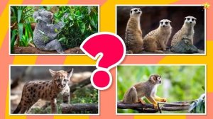 Сборник Мультфильмов - Учим Животных - Развивающие Мультики для Детей