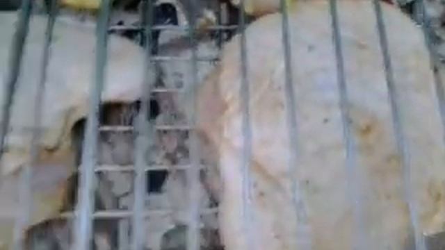 video 2014 07 14 20 06 47 смотреть онлайн