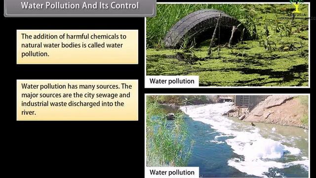 Environmental Issues I