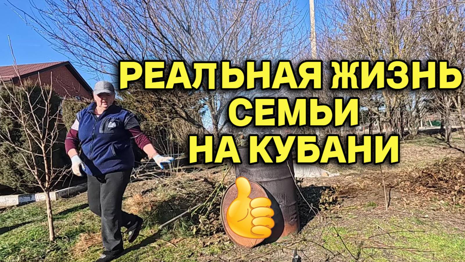 808ч Наша повседневная жизнь/Переехали на юг России/Купили дом на юге смотреть онлайн
