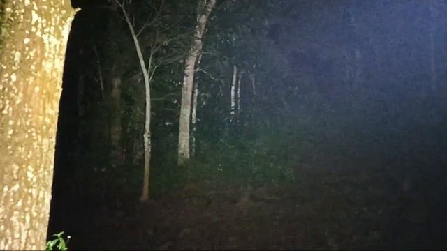 TERNYATA INI YANG MEMBUAT MAMANG MAUNG BODAS HILANG 2 MALAM, BUTO IJO PESUGIHAN смотреть онлайн
